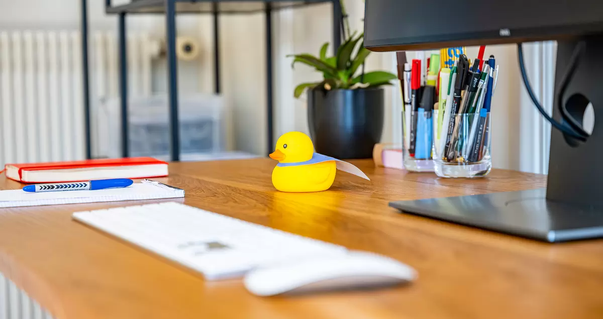 Kusko Webagentur Herisau, Rubber Duck Debugging