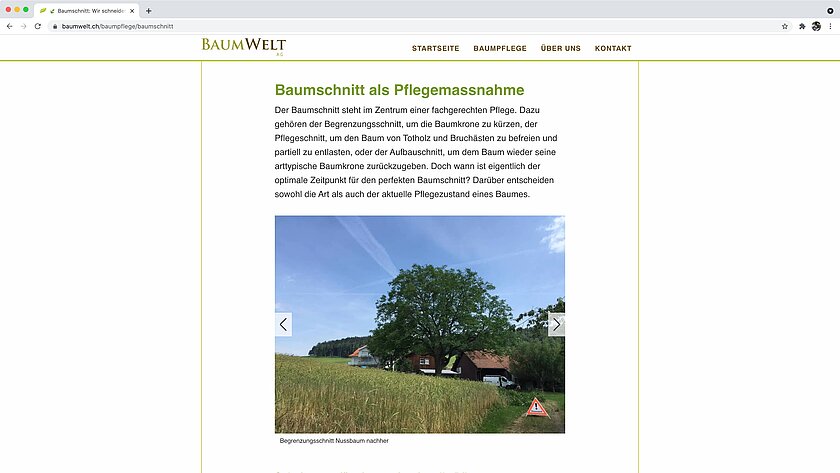 Printscreen 5 Umsetzung Baumwelt AG