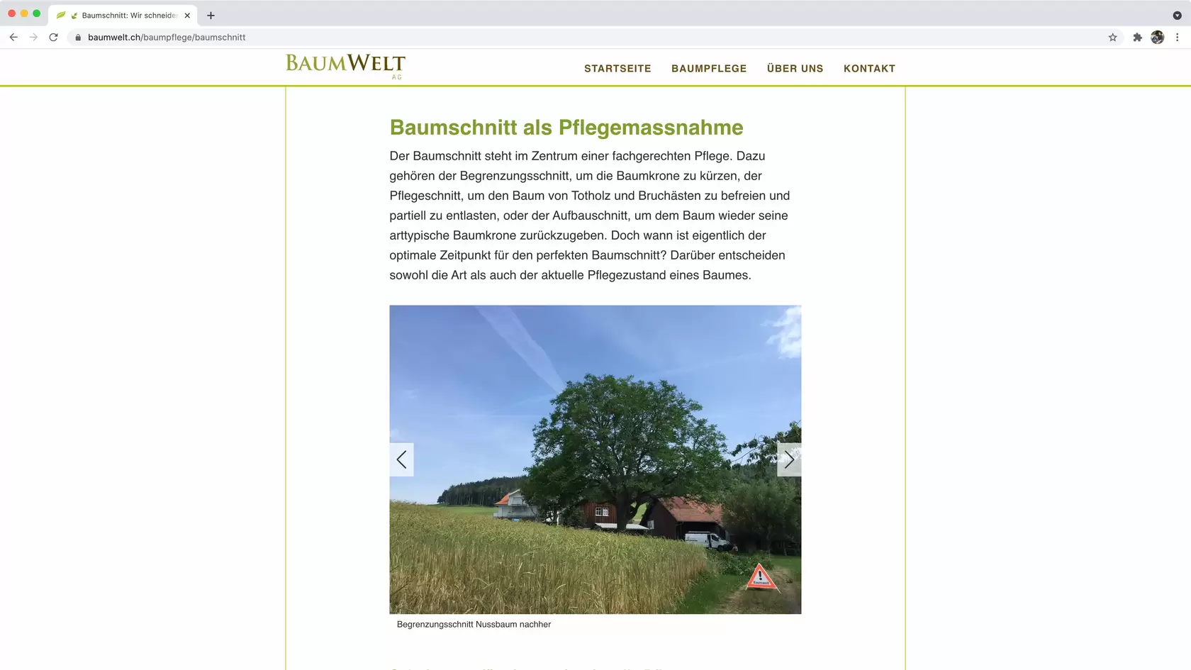 Printscreen 5 Umsetzung Baumwelt AG