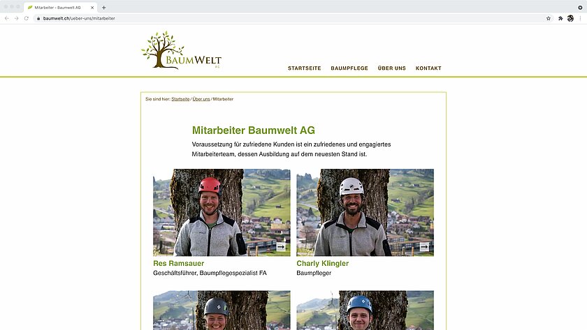 Printscreen 1 Umsetzung Baumwelt AG
