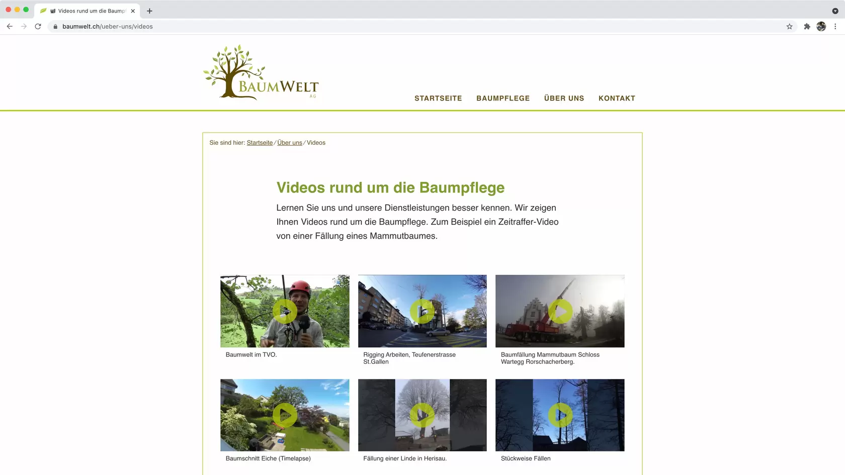 Printscreen 4 Umsetzung Baumwelt AG